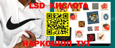 PSILOCYBIN Краснодар