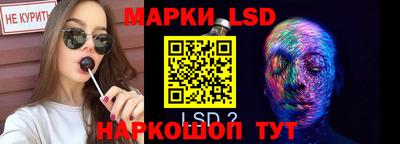 PSILOCYBIN Краснодар