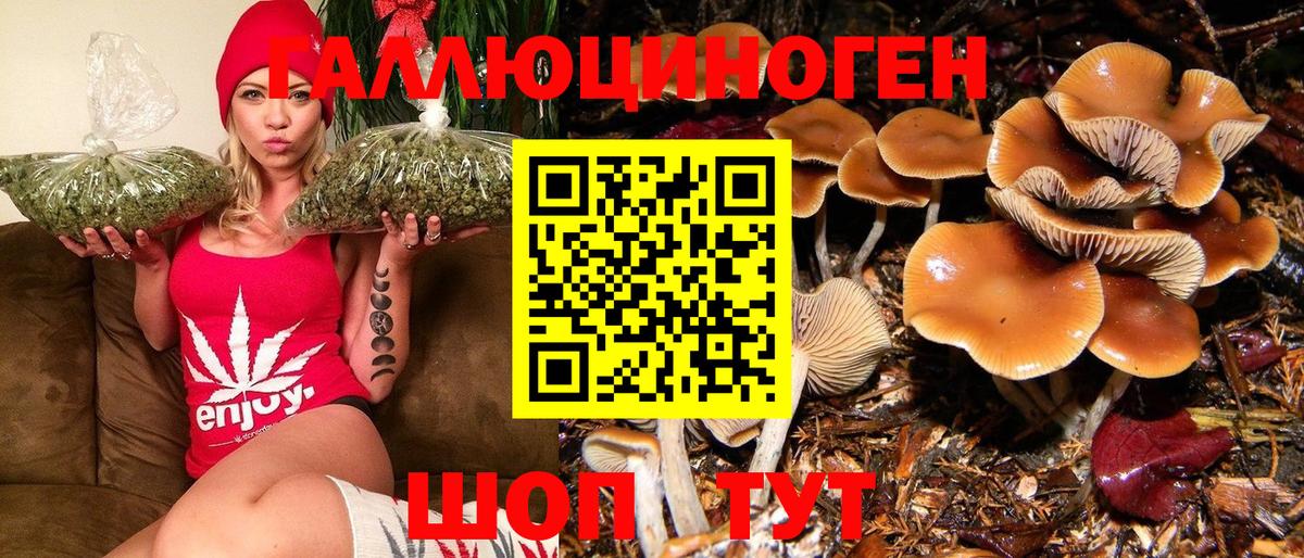 Псилоцибиновые грибы GOLDEN TEACHER Канаш