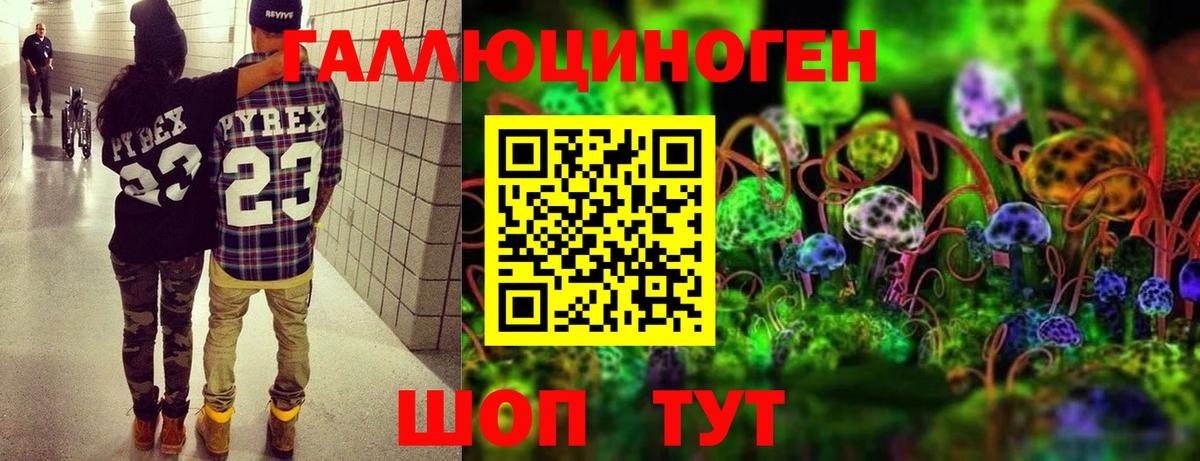 Канаш  Галлюциногенные грибы Psilocybine cubensis  Вход с VPN 